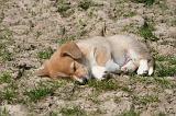 DORMIR 170